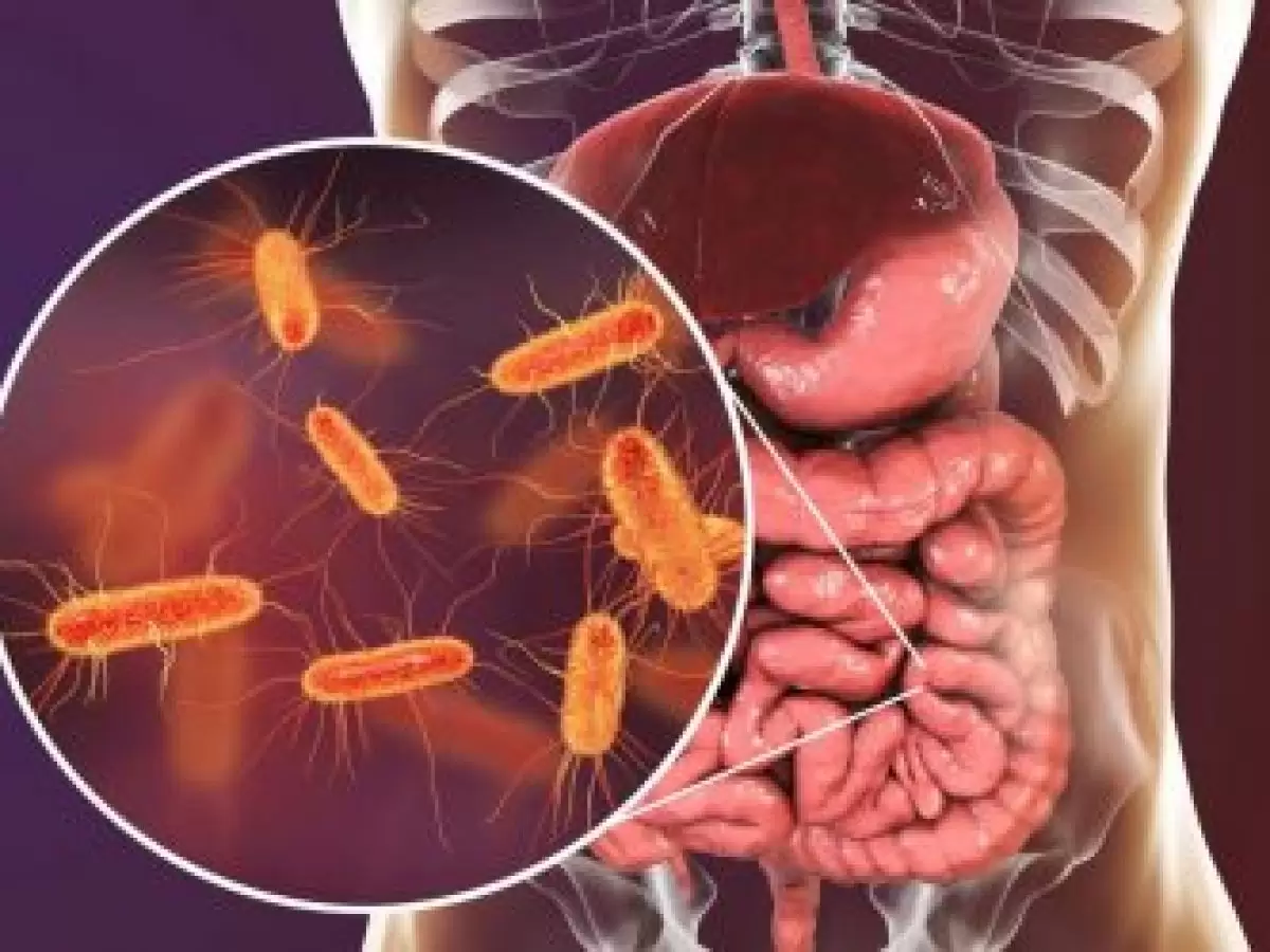 Desvende o Segredo da Saúde Intestinal: Como a Microbiota Intestinal Transforma Seu Bem-Estar!